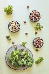 Top view of hazelnuts in different stages: fresh in green husks, raw in shells, and shelled nuts, all arranged in bowls and on a wooden slice. Natural organic food concept on a pastel background