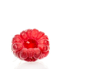 Fresh sweet raspberries isolated on white background, macro.