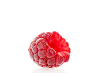 Fresh sweet raspberries isolated on white background, macro.