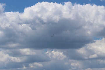 Sky