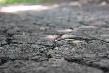 earth macro