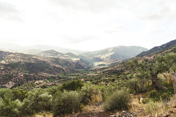 Scenic Mediterranean mountain valley with olive trees and village