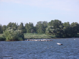 Kakhovka Reservoir