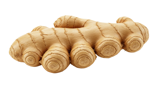 Fresh ginger root with textured skin and multiple segments on a black background