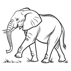 Obraz premium elephant vector illustration