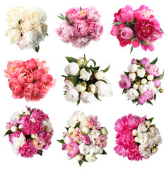 Beautiful bouquets of peony flowers on white background, collage. Top view