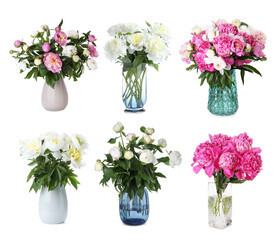 Peony bouquets in vases isolated on white, set