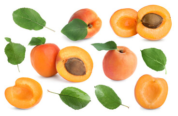 Fresh ripe apricot fruits and green leaves on white background, collage