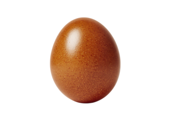A perfectly formed brown egg on a black background.