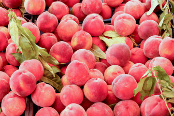 ripe peaches with leaves as background with copy space