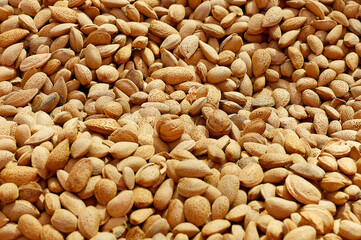 almonds in shell as background with copy space