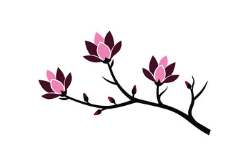 Spring magnolia flowers branch vector art illustration