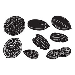 A harvest of nature – Nuts silhouette captured in fine Nuts vector – Nuts illustration

