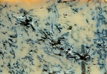 Close up on gorgonzola cheese.