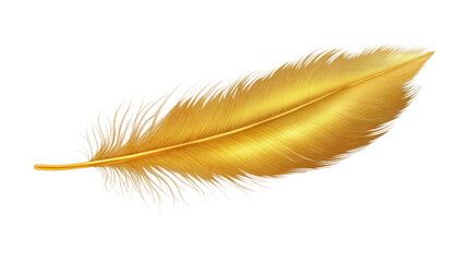 gold feather isolated on transparent background cutout