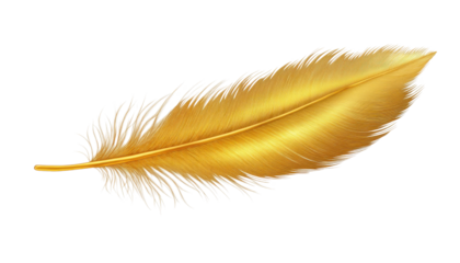 gold feather isolated on transparent background cutout