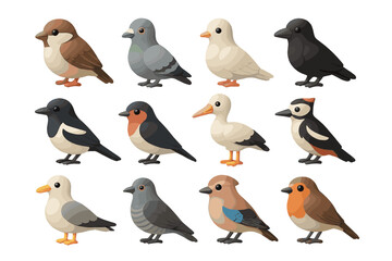 Obraz premium Cartoon birds collection with diverse species and colorful feathers