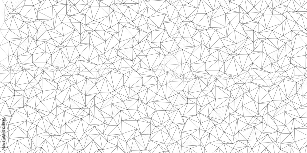 Wall mural abstract of simple gray line triangle pattern geometric background. seamless geometric polygonal rep