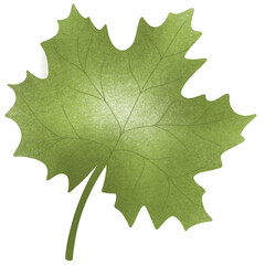 Green concept_drawing of green leaves