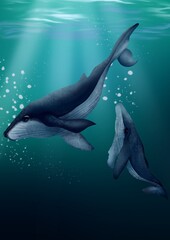 Mother whale swims with her baby in the deep blue ocean. Calm and emotional underwater scene ideal for educational books, posters, or nature-themed prints.