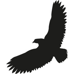 Eagle Silhouette Vector
