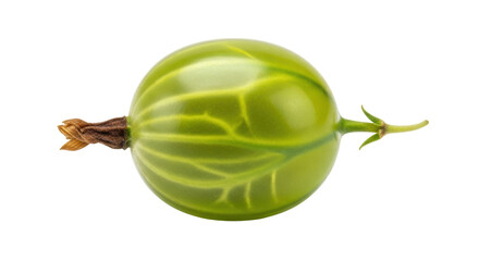 Isolated Green Gooseberry