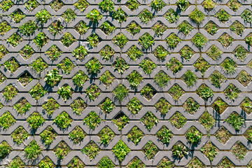 Patterned concrete grid with green grass and plants growing through openings