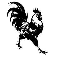 Black and white rooster illustration, vector design element