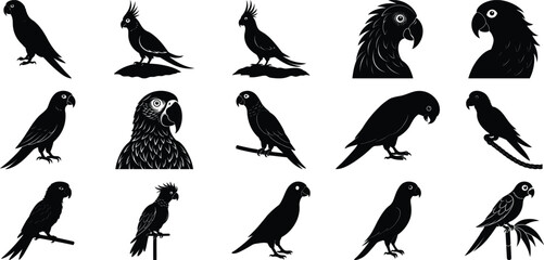 Macaw Silhouettes Vector Set, on white background.
