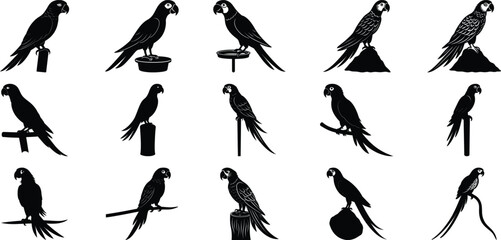 parrot silhouette vector, on white background.
