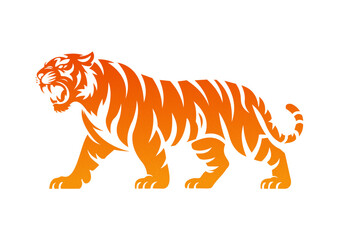 Bright Color of Tiger graphic resources 