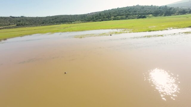 Aerial view of flooded field in Biq`at Bet Netofa, Israel.