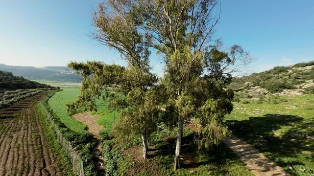 Aerial view of Biq`at Bet Netofa landscape, Israel.