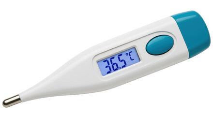 Isolated Digital Thermometer