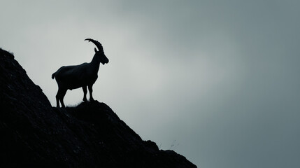 single mountain goat standing on a peak silhouette against a pale sky