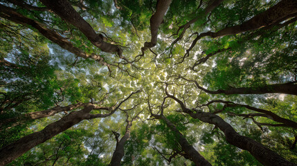 green tree branches