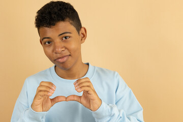 Brown skinned Latino teenager wearing a pastel blue sweatshirt making a broken heart with his hands...