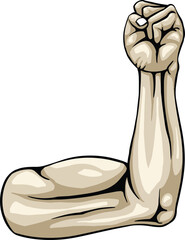 A strong arm showing its biceps muscle illustration