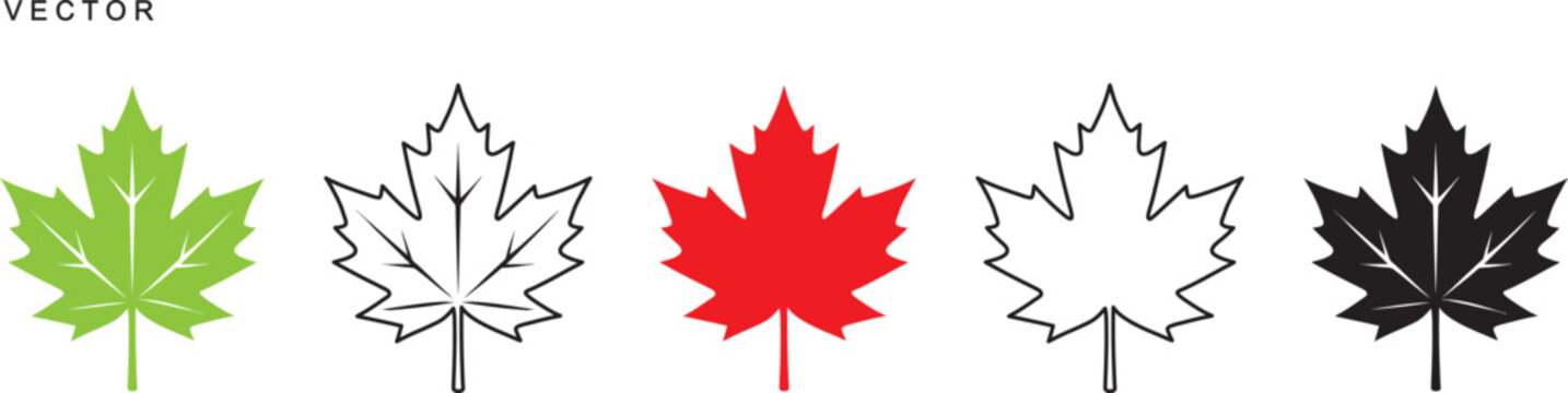 Set of flat maple leaf shape, Canadian maple leaf icon set, icon logo, Vector illustration