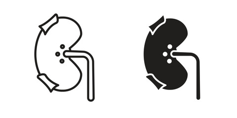 Kidney disease icon. modern vector symbols set
