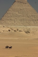 Caballos en las pirámides de Giza