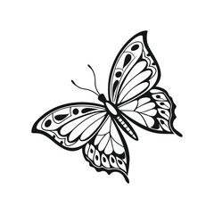 Elegant Butterfly Line Art – Black and White Symmetrical Insect Illustration for Tattoo or T-Shirt Design .