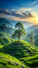 Printed roller blinds Soothing Hill Environment Green Nature Scene for Relaxation