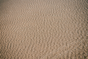 A sandy beach with ripples in the sand