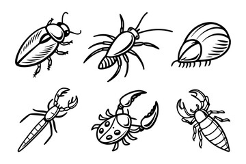 collection of insects