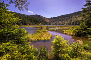 Kleiner Arbersee