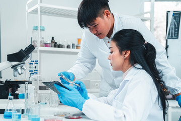 Young researchers collaborate on mold sample analysis in a science lab. The male scientist holds a...
