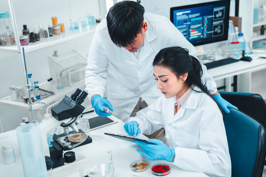 Young researchers collaborate on mold sample analysis in a science lab. The male scientist holds a petri dish while the female supervisor examines data. Team discovery and scientific breakthrough.