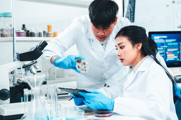 Young researchers collaborate on mold sample analysis in a science lab. The male scientist holds a petri dish while the female supervisor examines data. Team discovery and scientific breakthrough.