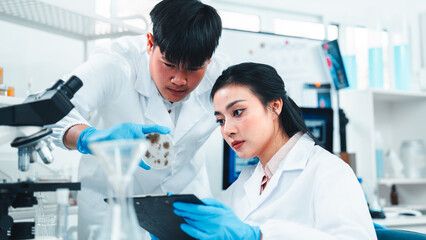 Young researchers collaborate on mold sample analysis in a science lab. The male scientist holds a...